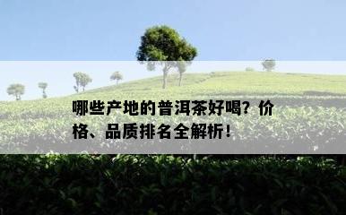 哪些产地的普洱茶好喝？价格、品质排名全解析！