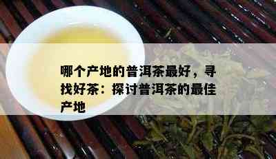 哪个产地的普洱茶更好，寻找好茶：探讨普洱茶的更佳产地