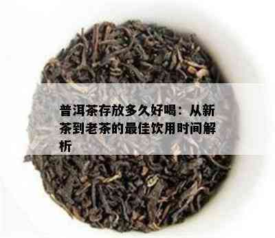 普洱茶存放多久好喝：从新茶到老茶的更佳饮用时间解析