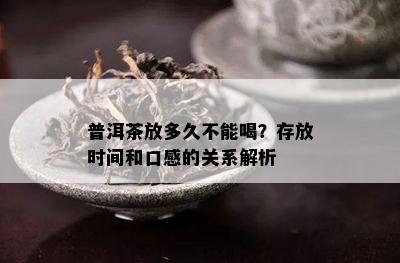 普洱茶放多久不能喝？存放时间和口感的关系解析