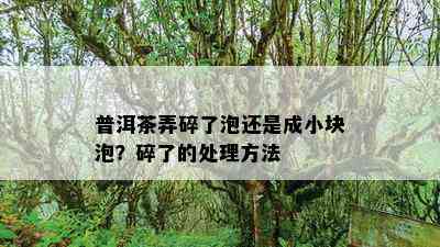 普洱茶弄碎了泡还是成小块泡？碎了的处理方法