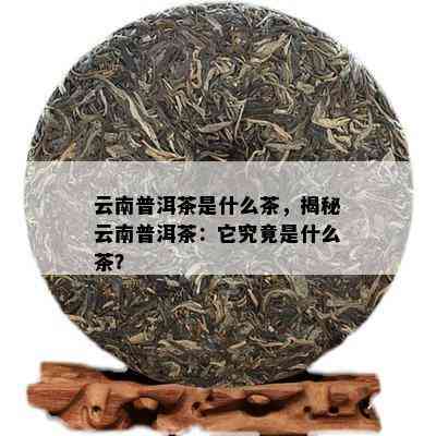 云南普洱茶是什么茶，揭秘云南普洱茶：它究竟是什么茶？