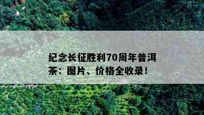 纪念长征胜利70周年普洱茶：图片、价格全收录！