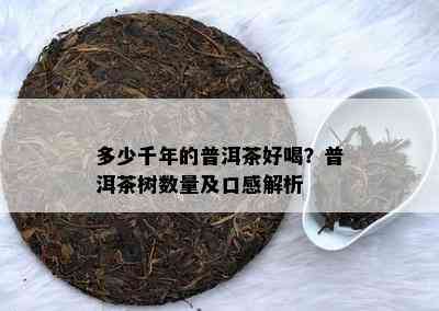 多少千年的普洱茶好喝？普洱茶树数量及口感解析