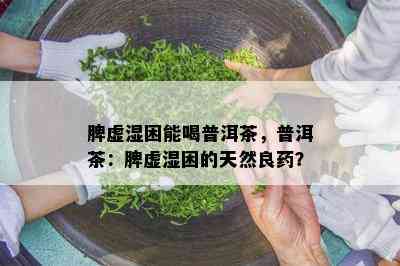 脾虚湿困能喝普洱茶，普洱茶：脾虚湿困的天然良？