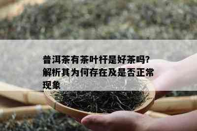 普洱茶有茶叶杆是好茶吗？解析其为何存在及是否正常现象