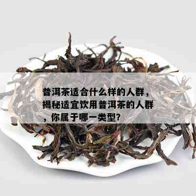 普洱茶适合什么样的人群，揭秘适宜饮用普洱茶的人群，你属于哪一类型？