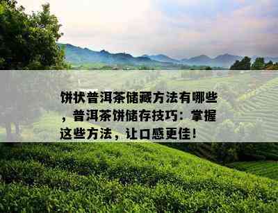 饼状普洱茶储藏方法有哪些，普洱茶饼储存技巧：掌握这些方法，让口感更佳！