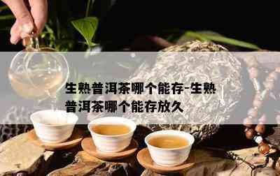 生熟普洱茶哪个能存-生熟普洱茶哪个能存放久