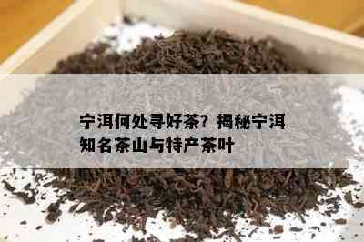 宁洱何处寻好茶？揭秘宁洱知名茶山与特产茶叶