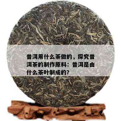 普洱用什么茶做的，探究普洱茶的制作原料：普洱是由什么茶叶制成的？