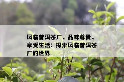 凤临普洱茶厂，品味尊贵，享受生活：探索凤临普洱茶厂的世界