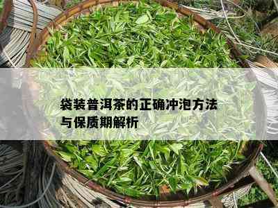 袋装普洱茶的正确冲泡方法与保质期解析