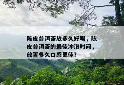 陈皮普洱茶放多久好喝，陈皮普洱茶的更佳冲泡时间，放置多久口感更佳？