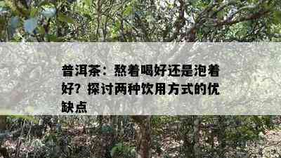 普洱茶：熬着喝好还是泡着好？探讨两种饮用方式的优缺点