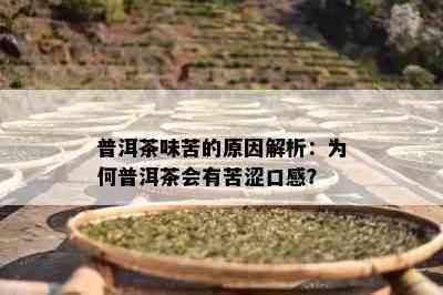 普洱茶味苦的原因解析：为何普洱茶会有苦涩口感？