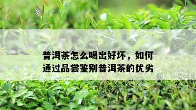 普洱茶怎么喝出好坏，如何通过品尝鉴别普洱茶的优劣