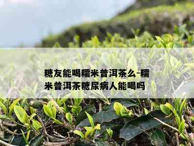 糖友能喝糯米普洱茶么-糯米普洱茶糖尿病人能喝吗