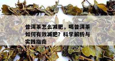 普洱茶怎么减肥，喝普洱茶如何有效减肥？科学解析与实践指南