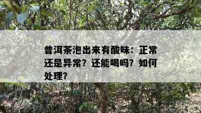 普洱茶泡出来有酸味：正常还是异常？还能喝吗？如何处理？