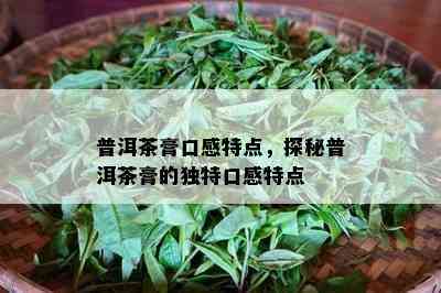 普洱茶膏口感特点，探秘普洱茶膏的独特口感特点