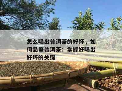 怎么喝出普洱茶的好坏，如何品鉴普洱茶：掌握好喝出好坏的关键