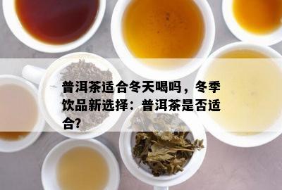 普洱茶适合冬天喝吗，冬季饮品新选择：普洱茶是否适合？