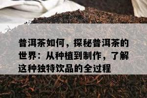 普洱茶如何，探秘普洱茶的世界：从种植到制作，了解这种独特饮品的全过程