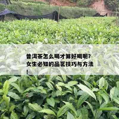 普洱茶怎么喝才算好喝呢？女生必知的品茗技巧与方法！