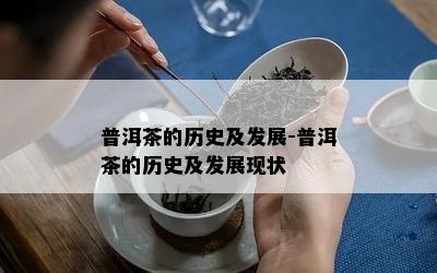 普洱茶的历史及发展-普洱茶的历史及发展现状