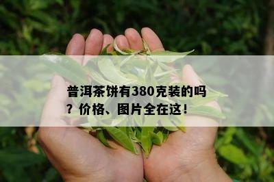 普洱茶饼有380克装的吗？价格、图片全在这！