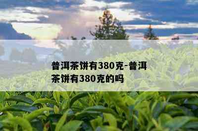 普洱茶饼有380克-普洱茶饼有380克的吗