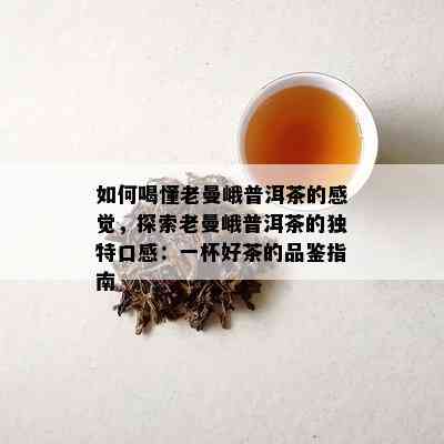 如何喝懂老曼峨普洱茶的感觉，探索老曼峨普洱茶的独特口感：一杯好茶的品鉴指南