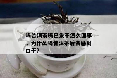 喝普洱茶嘴巴发干怎么回事，为什么喝普洱茶后会感到口干？