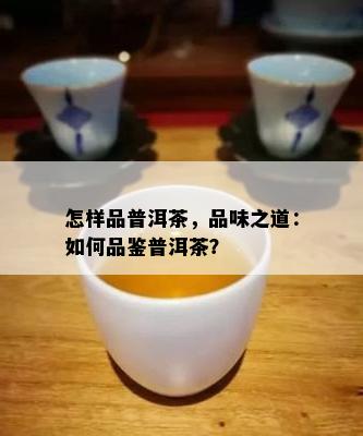 怎样品普洱茶，品味之道：如何品鉴普洱茶？