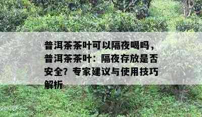 普洱茶茶叶可以隔夜喝吗，普洱茶茶叶：隔夜存放是否安全？专家建议与使用技巧解析