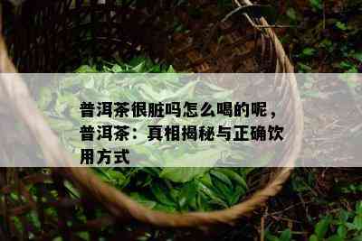 普洱茶很脏吗怎么喝的呢，普洱茶：真相揭秘与正确饮用方式