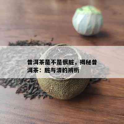 普洱茶是不是很脏，揭秘普洱茶：脏与清的辨析