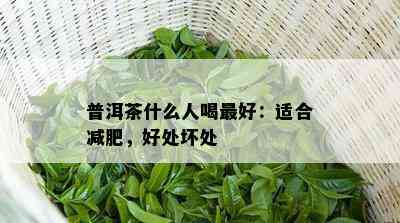 普洱茶什么人喝更好：适合减肥，好处坏处