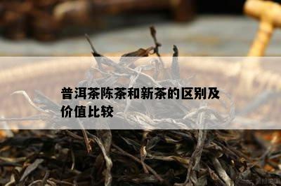 普洱茶陈茶和新茶的区别及价值比较