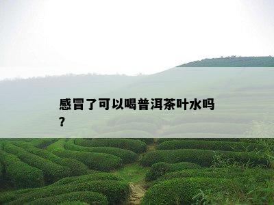 感冒了可以喝普洱茶叶水吗？