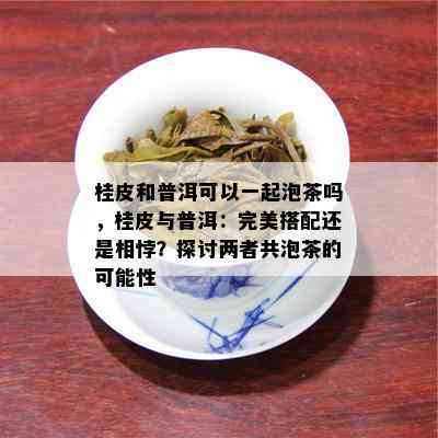 桂皮和普洱可以一起泡茶吗，桂皮与普洱：完美搭配还是相悖？探讨两者共泡茶的可能性