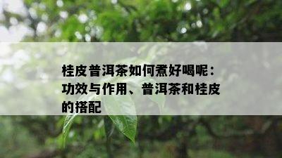 桂皮普洱茶如何煮好喝呢：功效与作用、普洱茶和桂皮的搭配