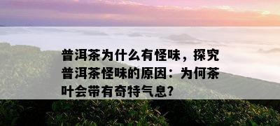 普洱茶为什么有怪味，探究普洱茶怪味的原因：为何茶叶会带有奇特气息？