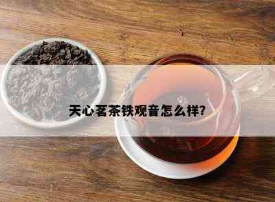 天心茗茶铁观音怎么样？