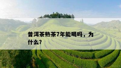 普洱茶熟茶7年能喝吗，为什么？