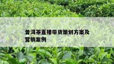 普洱茶直播带货策划方案及营销案例