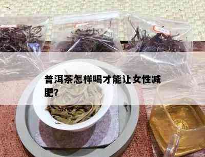 普洱茶怎样喝才能让女性减肥？