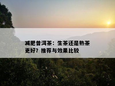 减肥普洱茶：生茶还是熟茶更好？推荐与效果比较