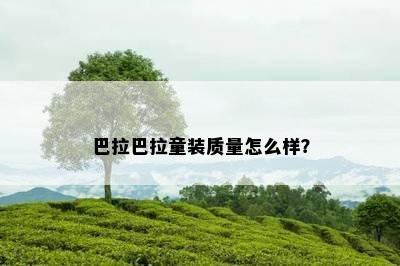 巴拉巴拉童装质量怎么样？